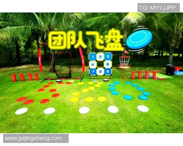 南京飞盘队的团队协作之道：如何在飞盘运动中实现默契与配合